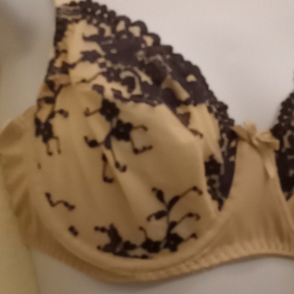 Curve Muse Embroidered Lace & Mesh Bra - Picture 4 of 16
